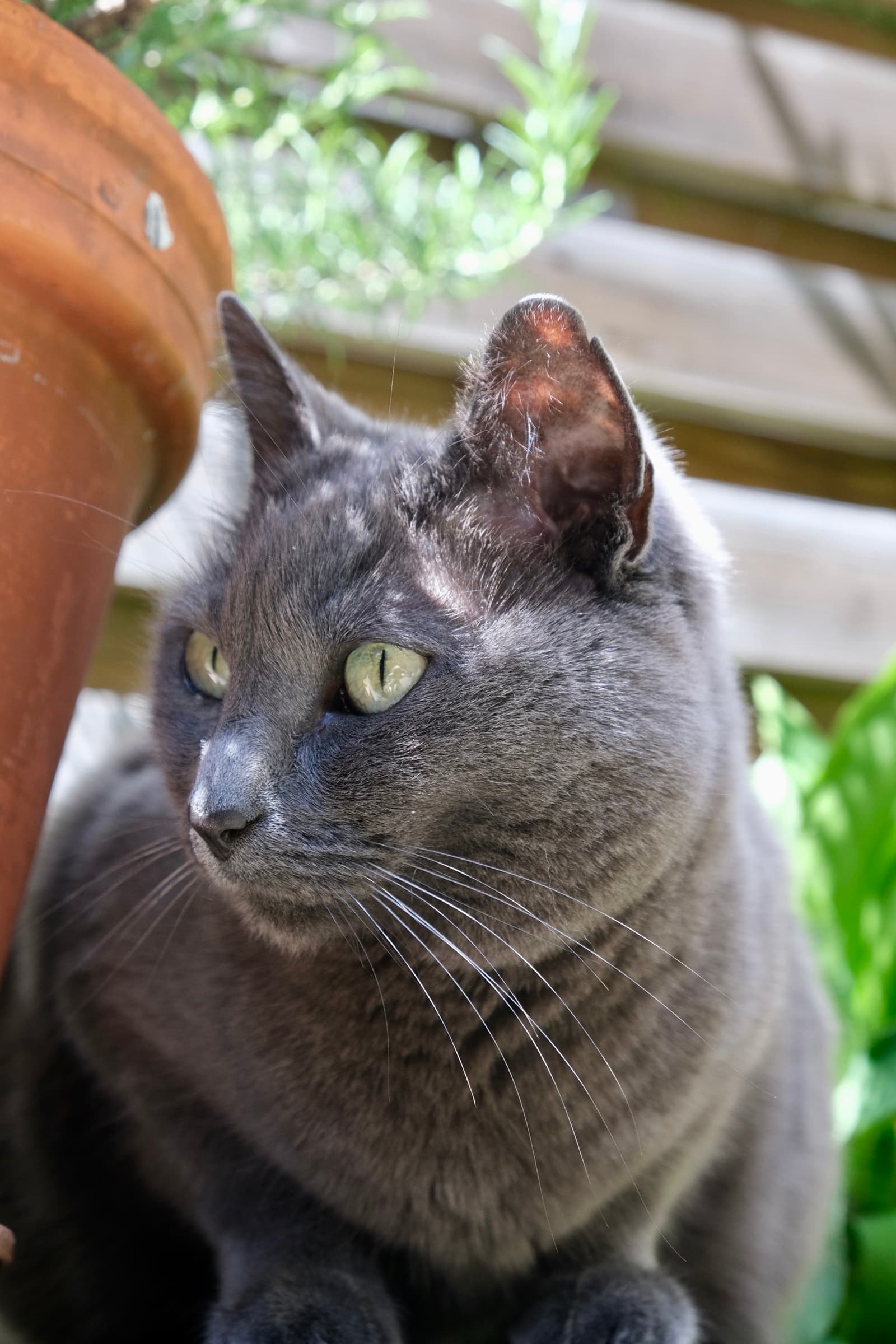 Portrait-Aufnahme